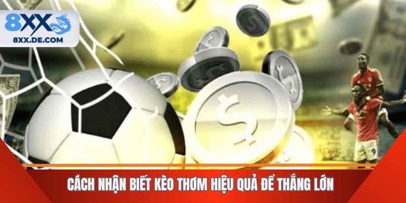 Cách nhận biết kèo thơm hiệu quả để thắng lớn 