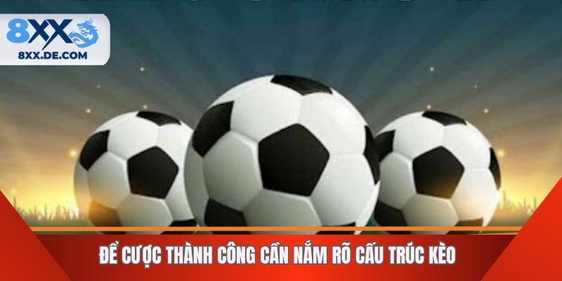 Để cược thành công cần nắm rõ cấu trúc kèo