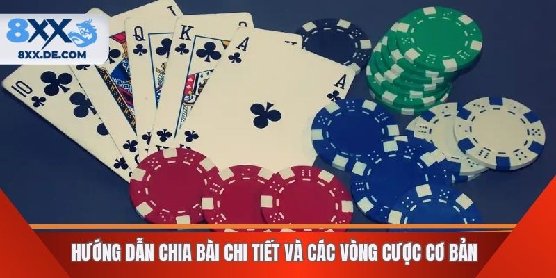 Hướng dẫn chia bài chi tiết và các vòng cược cơ bản