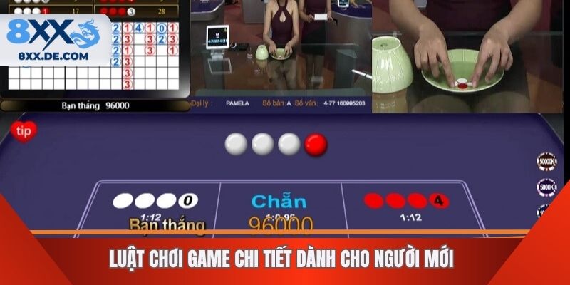 Luật chơi game chi tiết dành cho người mới
