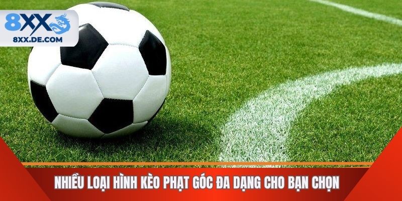 Nhiều loại hình kèo phạt góc đa dạng cho bạn chọn 